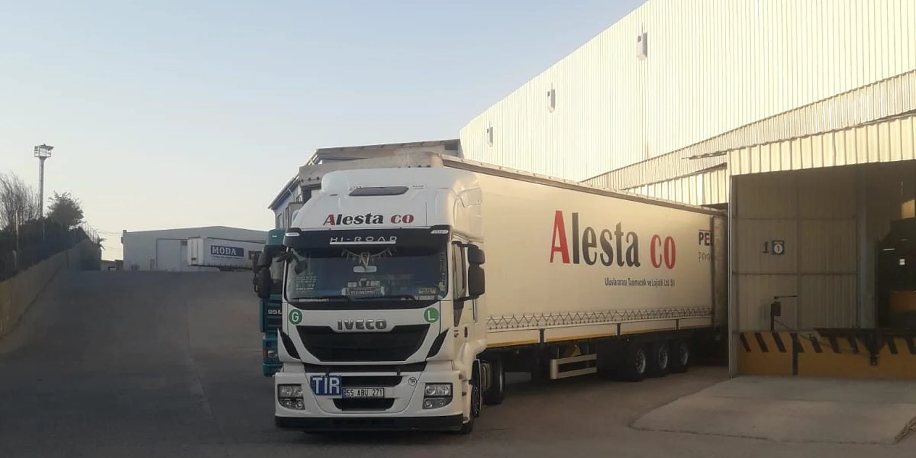 Alestaco filosu